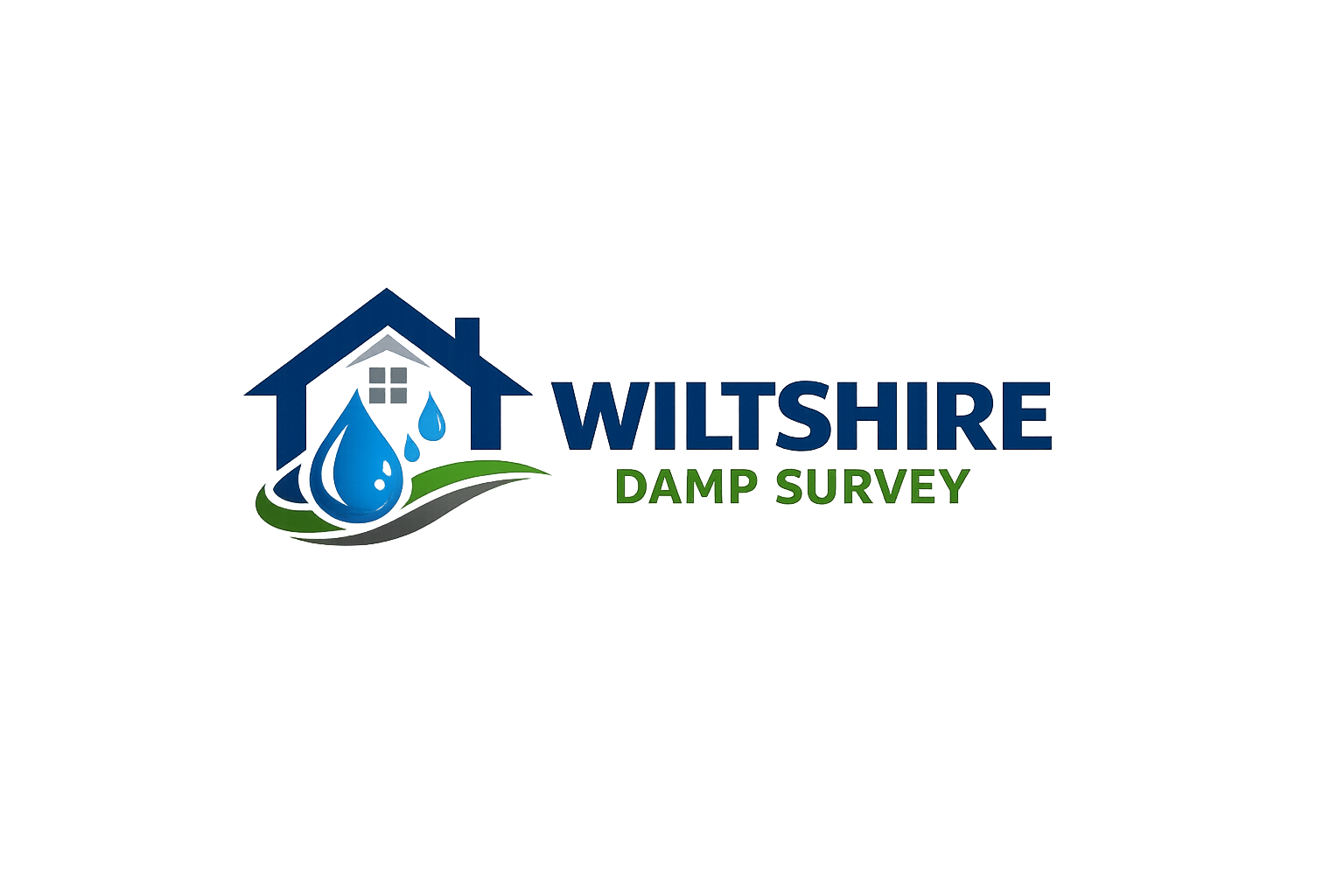 Wiltshire Damp Survey