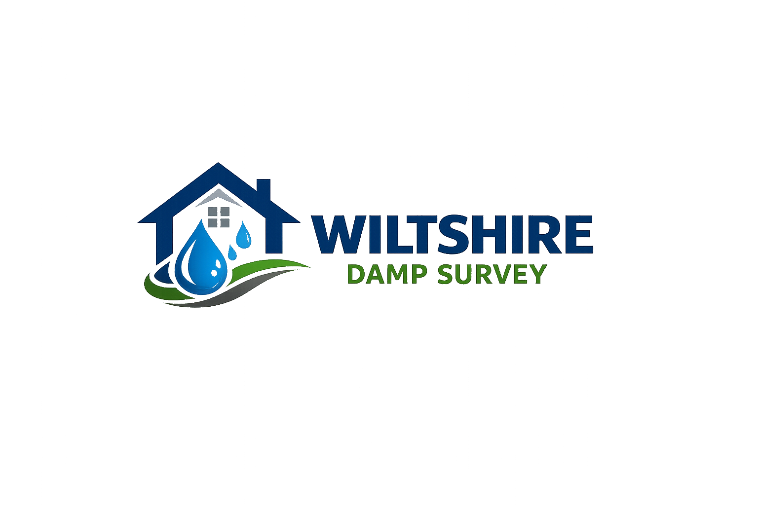 Wiltshire Damp Survey