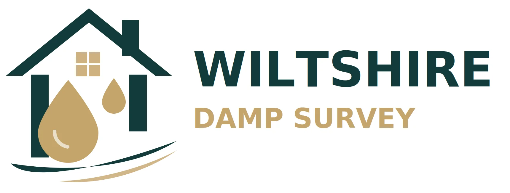 wiltshire-damp-survey-logo-header